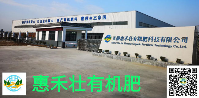�л��ʺ��޻��ʵ�����������